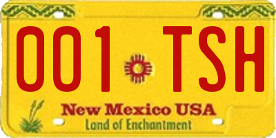 NM license plate 001TSH