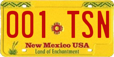 NM license plate 001TSN