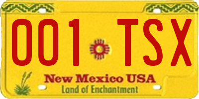 NM license plate 001TSX
