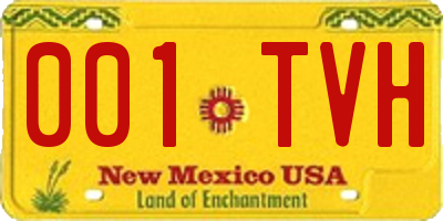 NM license plate 001TVH