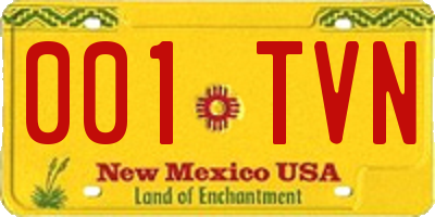 NM license plate 001TVN