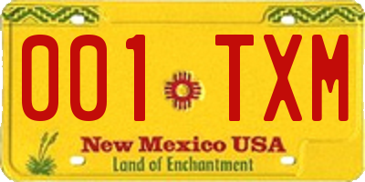 NM license plate 001TXM