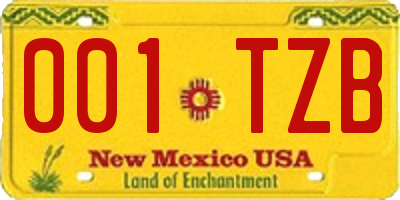 NM license plate 001TZB