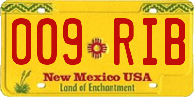 NM license plate 009RIB