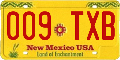 NM license plate 009TXB