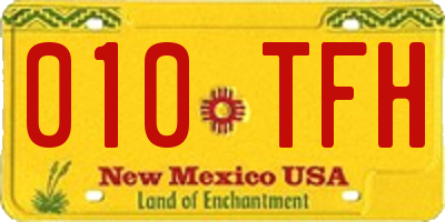 NM license plate 010TFH