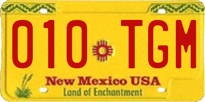 NM license plate 010TGM