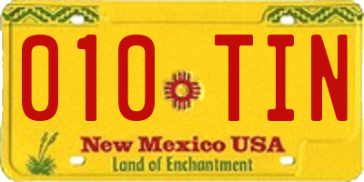 NM license plate 010TIN