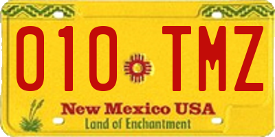 NM license plate 010TMZ