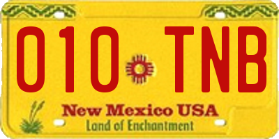 NM license plate 010TNB