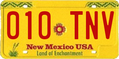 NM license plate 010TNV