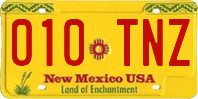 NM license plate 010TNZ