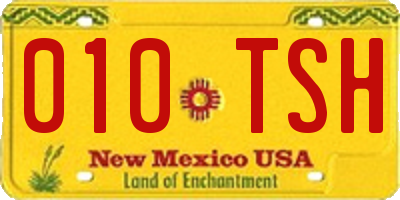 NM license plate 010TSH