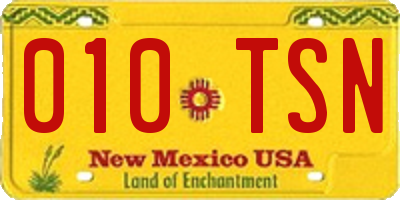 NM license plate 010TSN