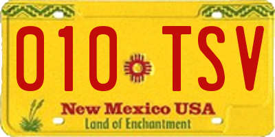 NM license plate 010TSV