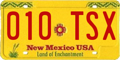 NM license plate 010TSX