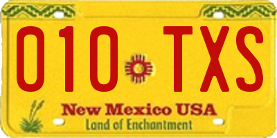 NM license plate 010TXS