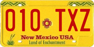NM license plate 010TXZ
