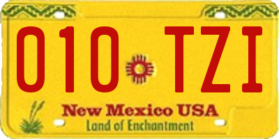NM license plate 010TZI