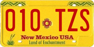 NM license plate 010TZS