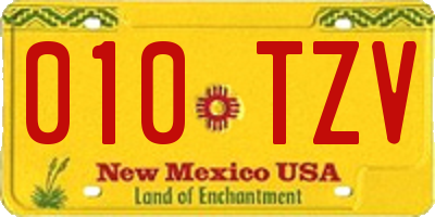 NM license plate 010TZV