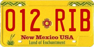 NM license plate 012RIB