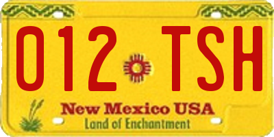 NM license plate 012TSH