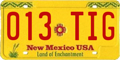 NM license plate 013TIG