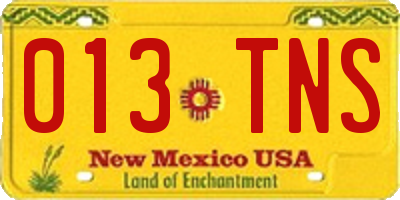 NM license plate 013TNS