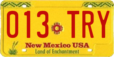 NM license plate 013TRY