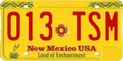 NM license plate 013TSM