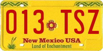 NM license plate 013TSZ