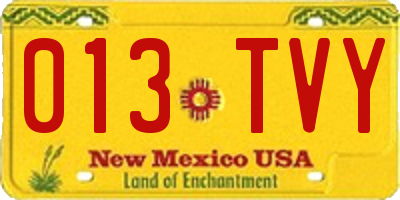 NM license plate 013TVY
