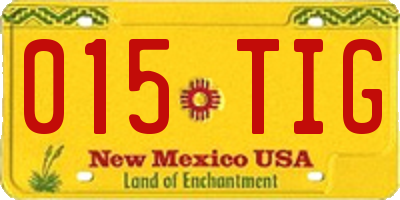 NM license plate 015TIG
