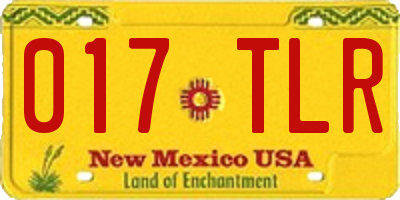 NM license plate 017TLR
