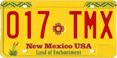NM license plate 017TMX