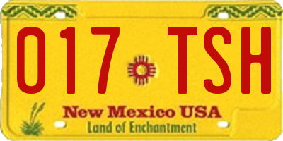 NM license plate 017TSH