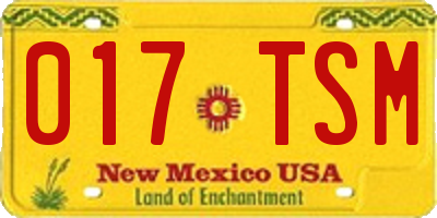 NM license plate 017TSM