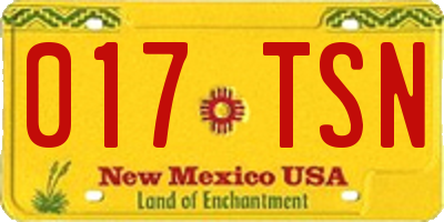 NM license plate 017TSN