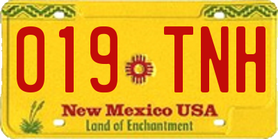 NM license plate 019TNH