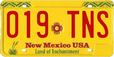 NM license plate 019TNS