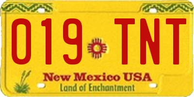 NM license plate 019TNT