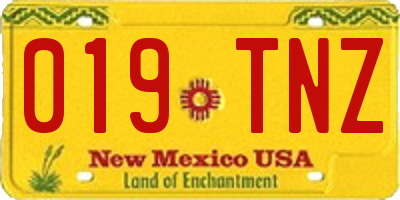 NM license plate 019TNZ