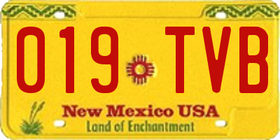 NM license plate 019TVB