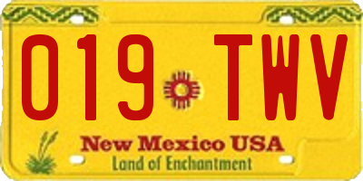 NM license plate 019TWV