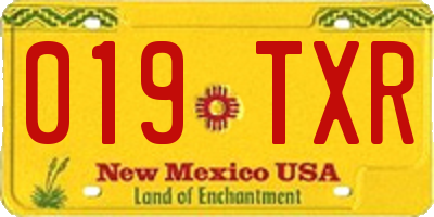 NM license plate 019TXR