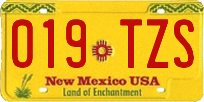 NM license plate 019TZS