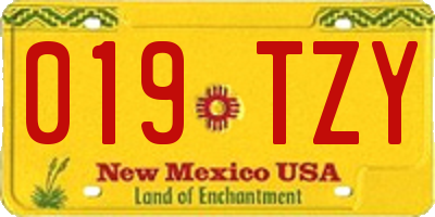 NM license plate 019TZY