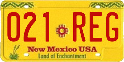NM license plate 021REG