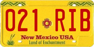NM license plate 021RIB